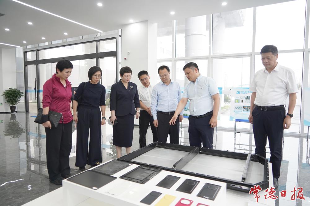 周振宇在嘉兴卡涞复合材料有限公司考察